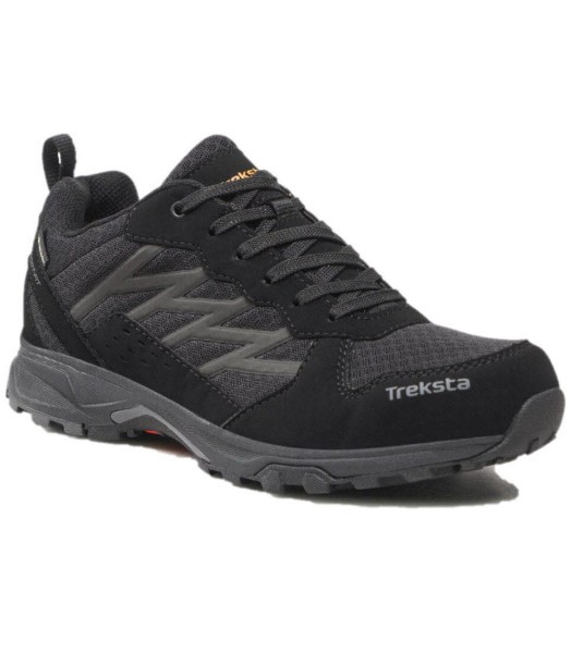 TREKSTA Bolt Boa GTX Schuhe Herren schwarz