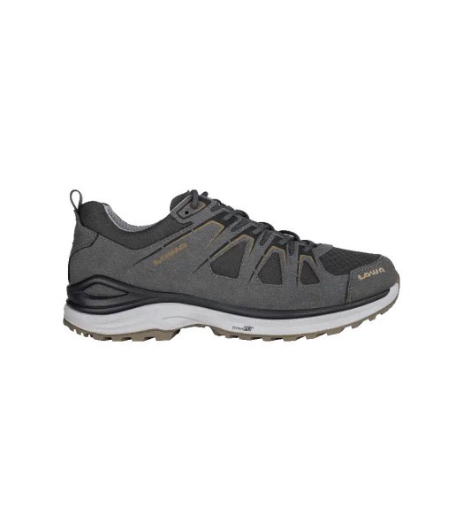 LOWA Innox Evo 2 GTX Low Schuhe Herren grau