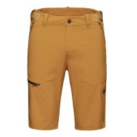 MAMMUT Runbold Shorts Herren braun