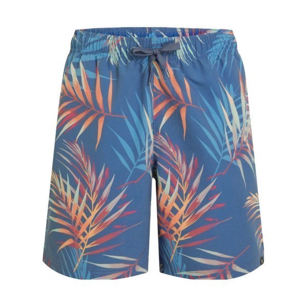 FIREFLY Badeshorts Neiko Herren blau