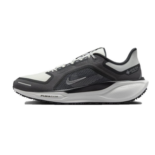 NIKE Pegasus 41 GORE-TEX Schuhe Herren schwarz - Bild 1