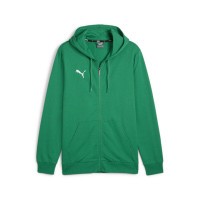 PUMA teamGOAL Casuals Hooded Sweatshirtjacke Herren grün