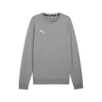 PUMA teamGOAL Casuals Crew Neck Sweatshirt Herren grau